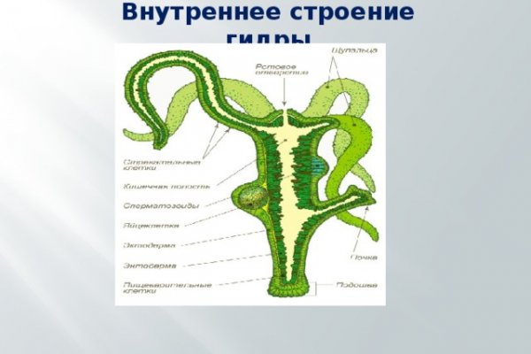 Замена hydra